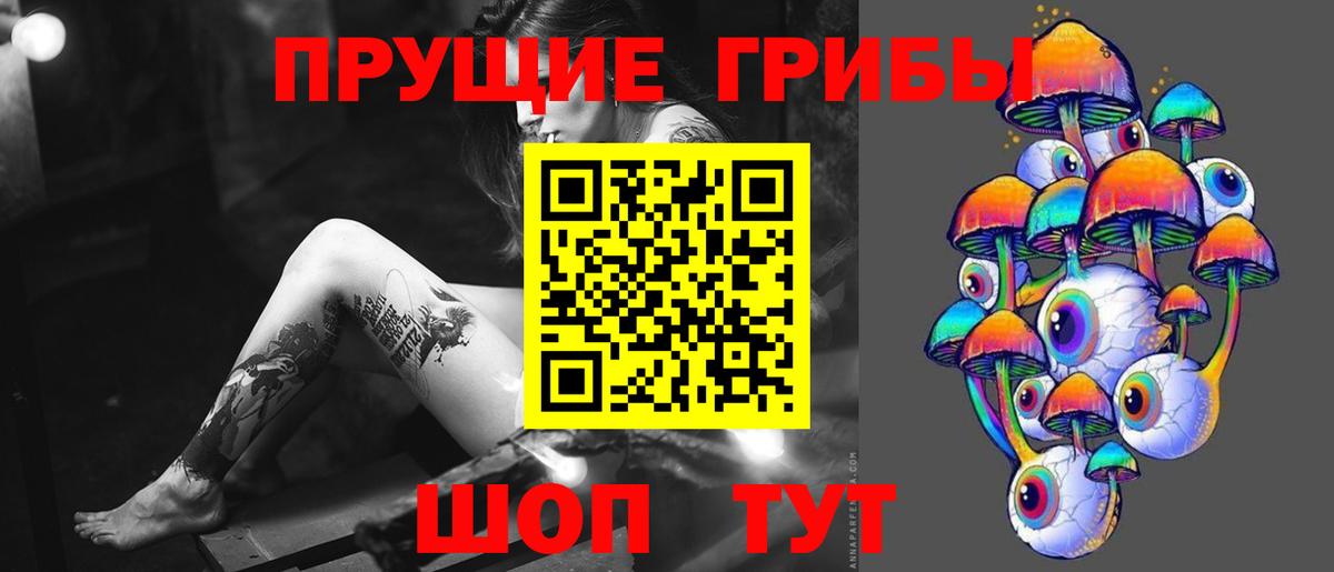 Псилоцибиновые грибы Cubensis  Галлюциногенные грибы мицелий  купить наркотики цена  Буйнакск  Вход с VPN 